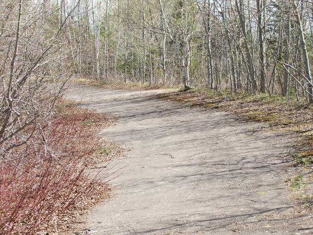 Ancienne pistes de stock-car au Québec - Page 3 249430DSCF5280