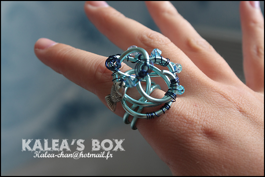 [bijoux/mode] Kalea's BoX 258589bague_012