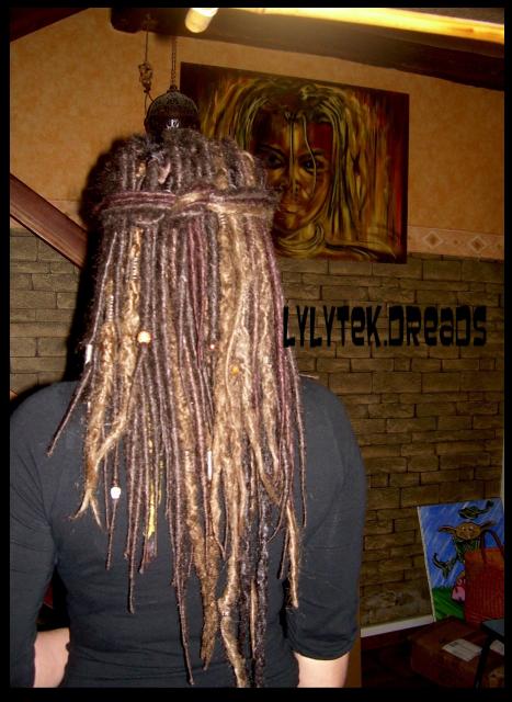 les dreads de lylytek 26008nouvelles_pose_lylytek_014