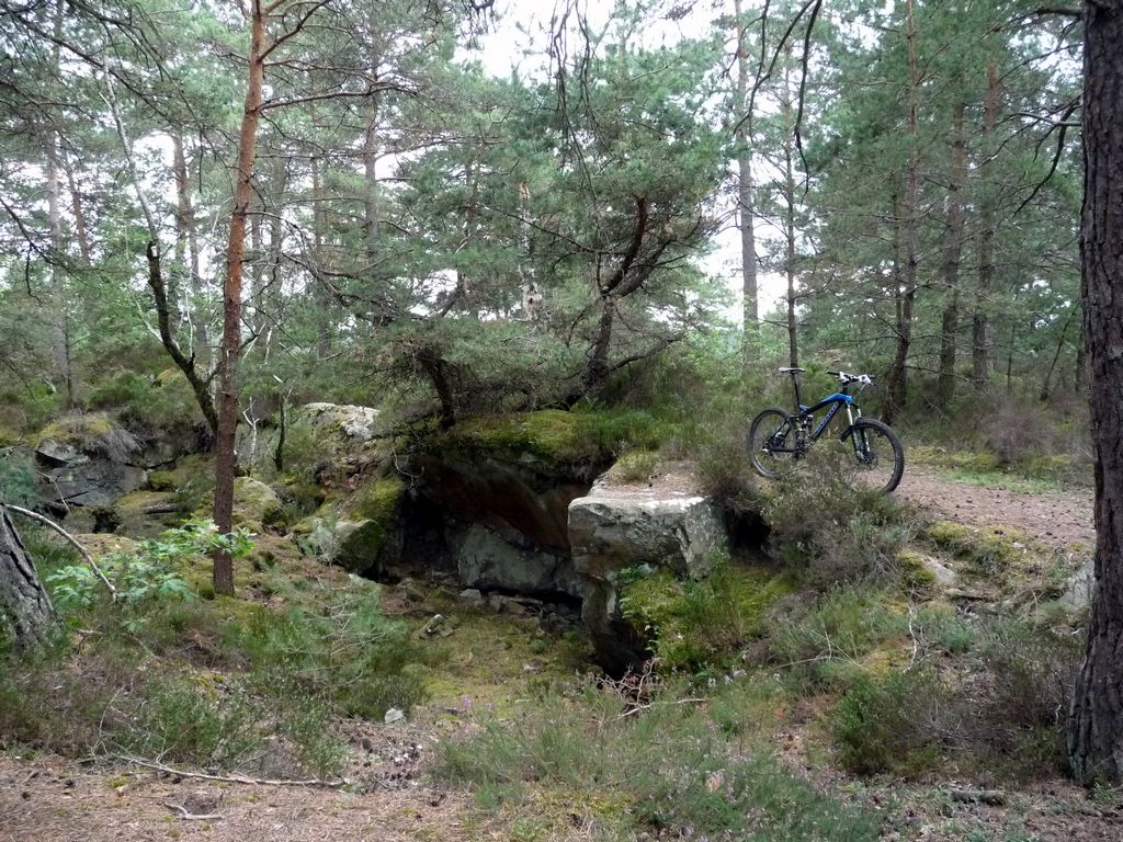 Photos fontainebleau, la foret aux cailloux et fontaines 270823tn_P1060190