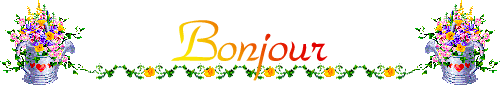 Bonjour... bonsoir... bonne nuit... - Page 2 282648Bonjour__5_