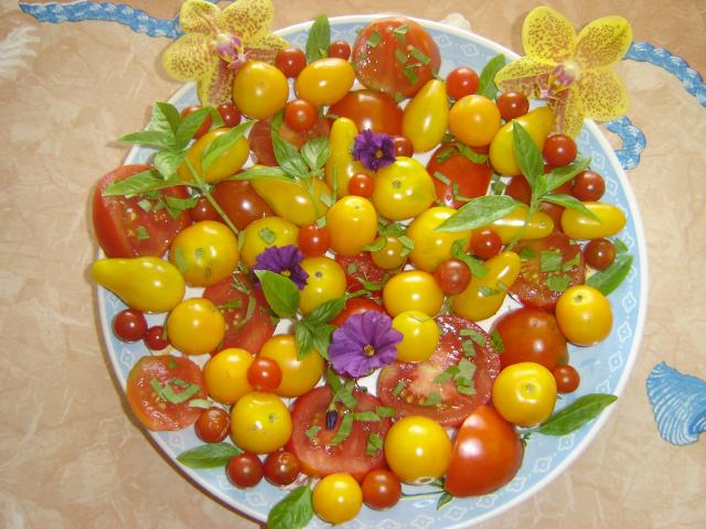 Photo de tomates 300616DSC08454