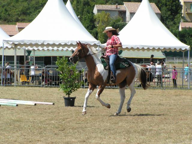 Levens la fête du cheval ... 305408levens_2009_022