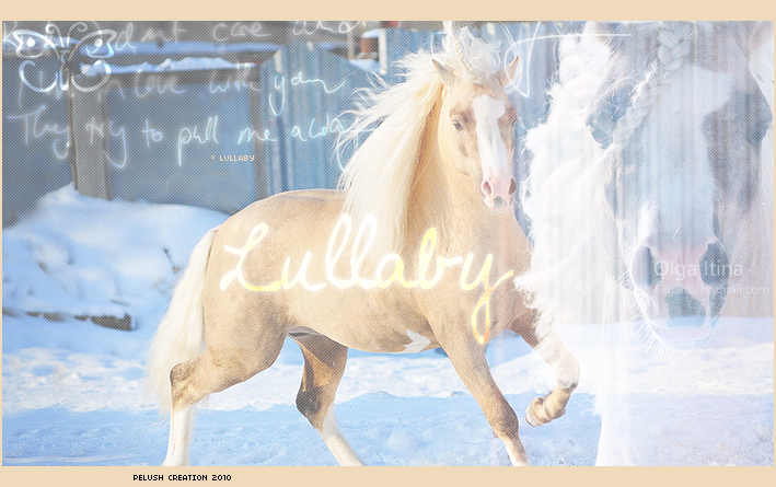 Palomino, champagne. 341486Lullaby