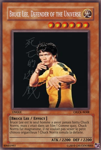 The Chuck Norris TCG ! Les Defenders of the Universe 360825BruceLee