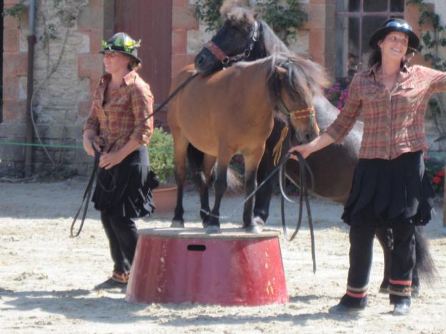 visite aux haras d'Hennebont (56) 361445IMG_0694_1_