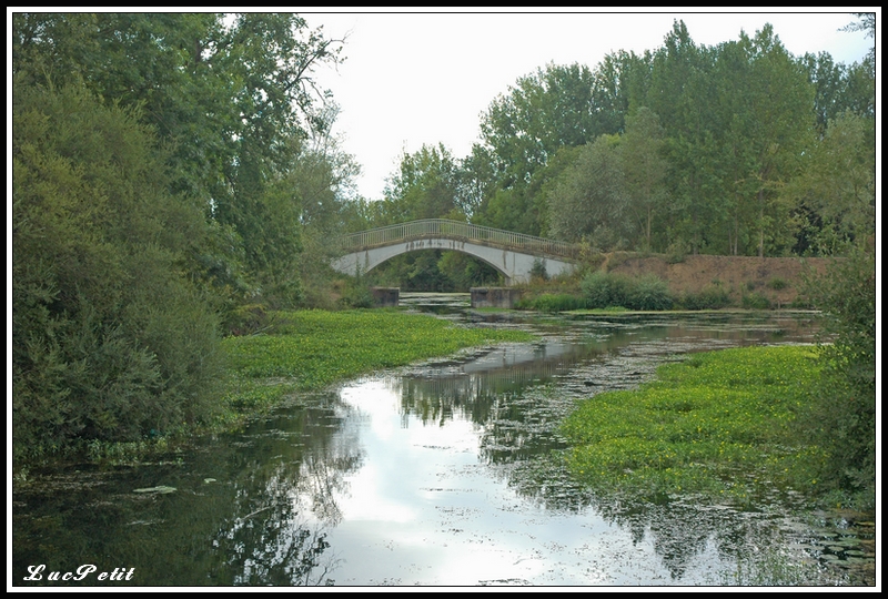 Petite ballade sur le canal du Berry 373225canal_du_berry_4