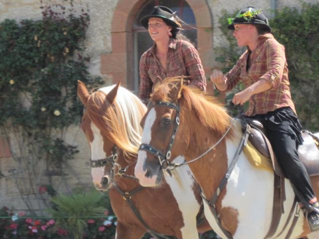 visite aux haras d'Hennebont (56) 376778IMG_0707_1_