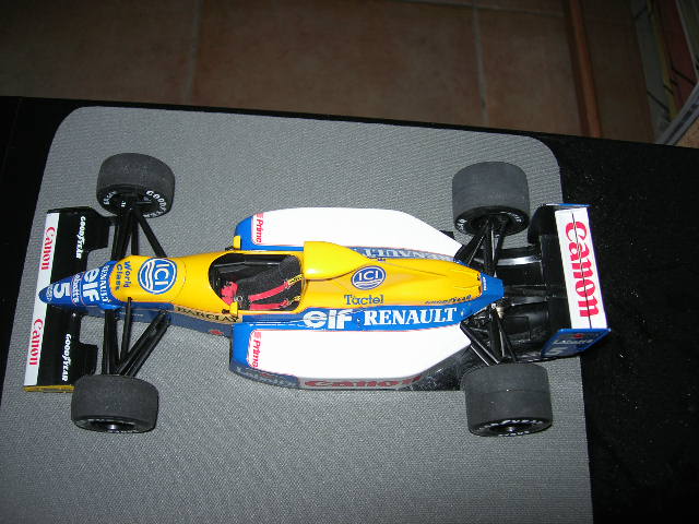 Williams Renault FW13B, 1/20 TAM 380158DSCN7808