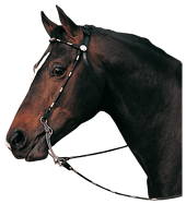 ♪ Equine Saddlery 391237avulon