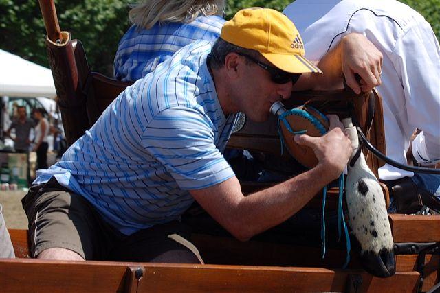 Levens la fête du cheval ... 39912DSC_0151