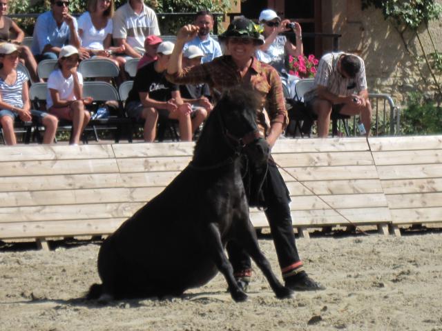 visite aux haras d'Hennebont (56) 401192IMG_0692_1_