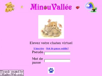 Chats : Minou Valle 403811228593