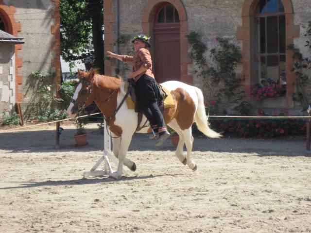 visite aux haras d'Hennebont (56) 411679IMG_0710_1_