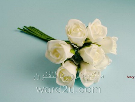 ورود من الفوم الملون شرح بالصور 42195125_foam_www.ward2u.com