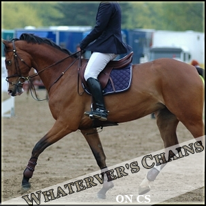 Whatever's Chain -J- PFS 430761whateverschain