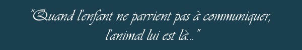 Opall Ayumu [en cours] 449053Phrase2