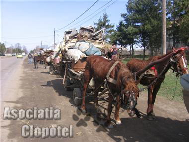 La Roumanie, encore... 453839In_drum_spre_iarmaroc