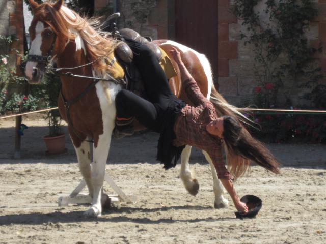 visite aux haras d'Hennebont (56) 462483IMG_0715_1_