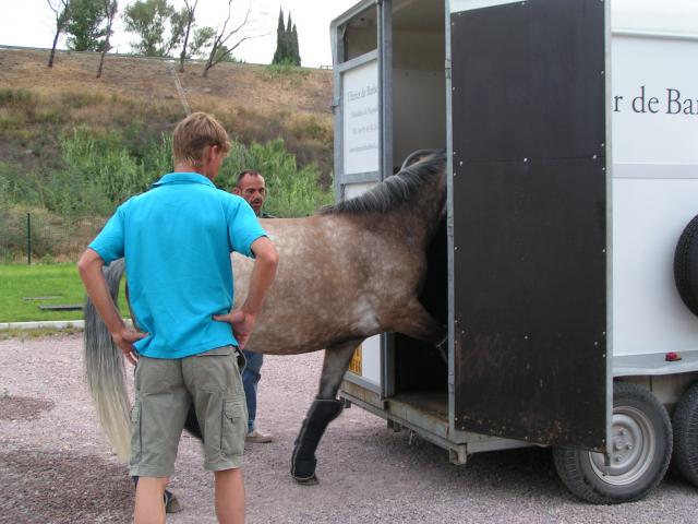 deux jours en Camargue 47588camargue_07.09_116