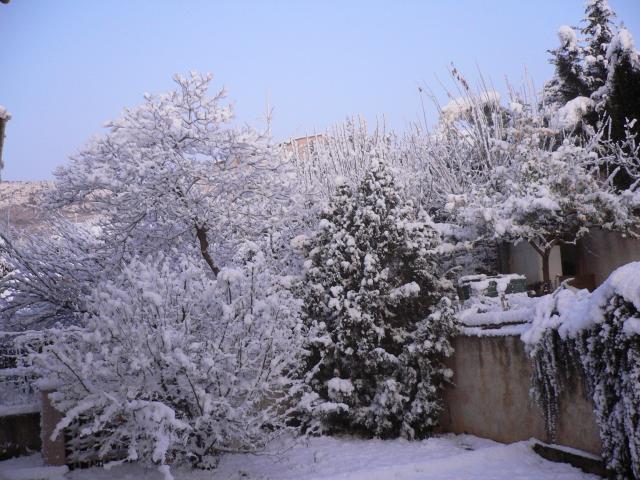 Eden dans la neige ! (c'est pour changer un peu :-) ) 479140P1030509