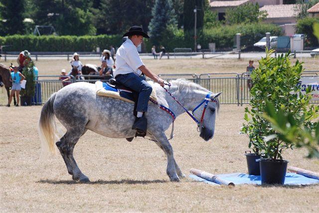 Levens la fête du cheval ... 482545DSC_0093