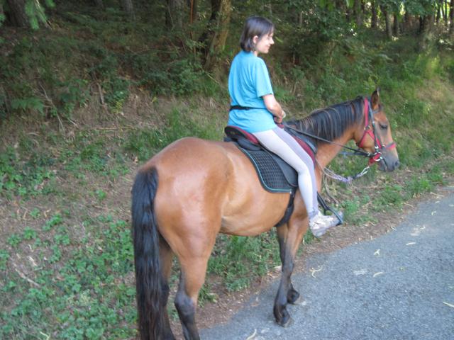 balade dans le Cantal 497857IMG_0476_1_