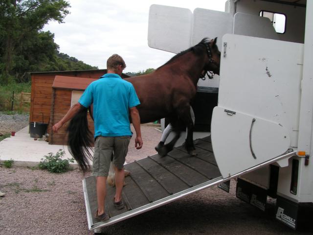 deux jours en Camargue 499310camargue_07.09_095