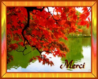 Bonjour automne 502855merci_automne_ovfoyjy7