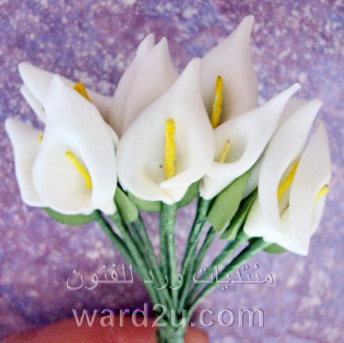 ورود من الفوم الملون شرح بالصور 50333018_foam_www.ward2u.com