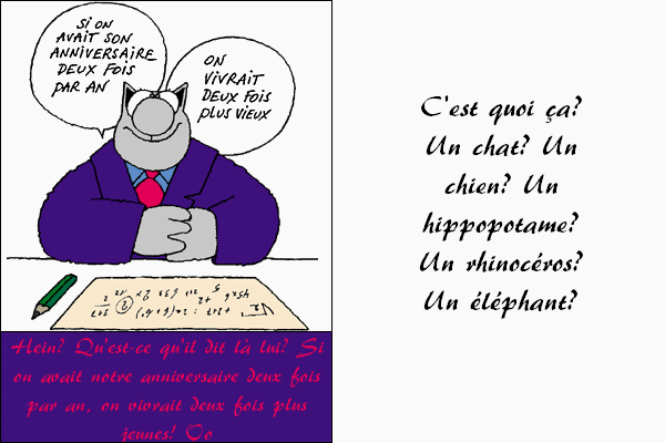 BONNE FÊTE MIA! [Page peut-être déformée xD] 514666anniversaire20anschat2jh9