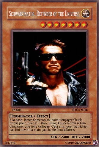 The Chuck Norris TCG ! Les Defenders of the Universe - Page 2 523872Terminator