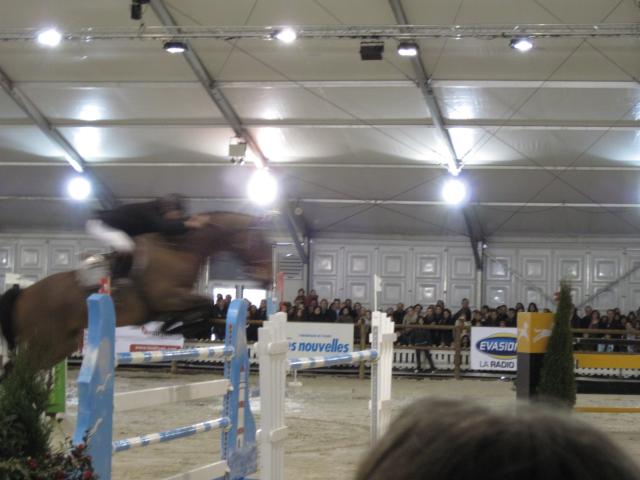 Salon du cheval de Rambouillet 531197IMG_0325_1_