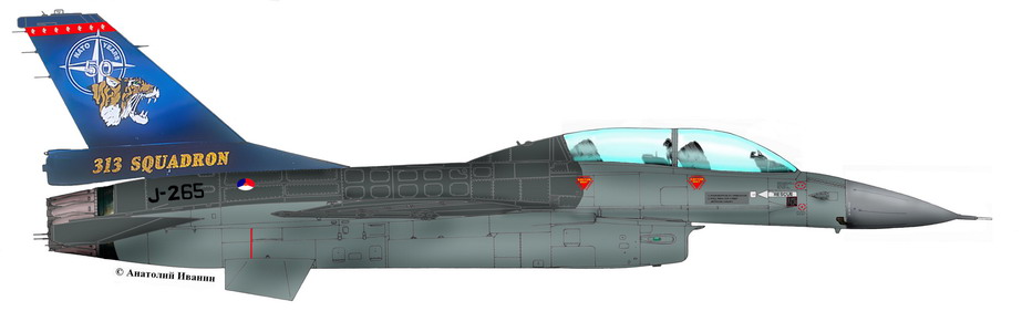 F-16 B Block 5 Pays-Bas 313 Sqn "Tiger" Twenthe 56411192_33