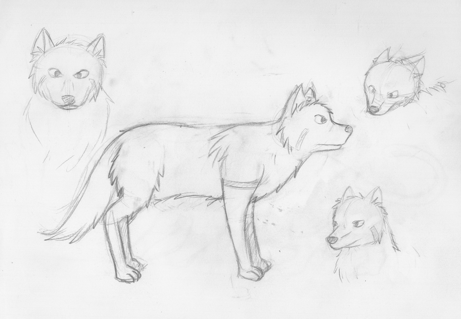 Les petits dessins de Plume, version tradi ! - Page 7 568409loup_01