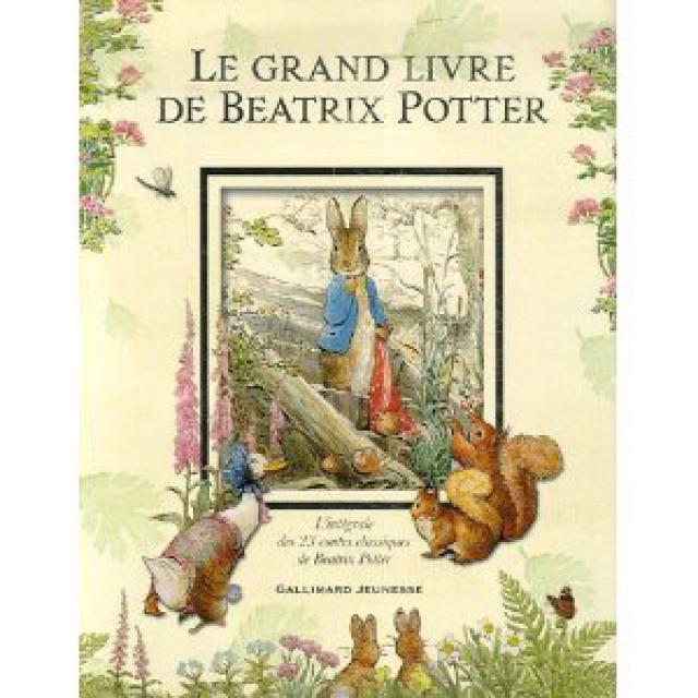 le roman d'Enid Blyton 56985851mhHSvOwNL__SL500_AA300_