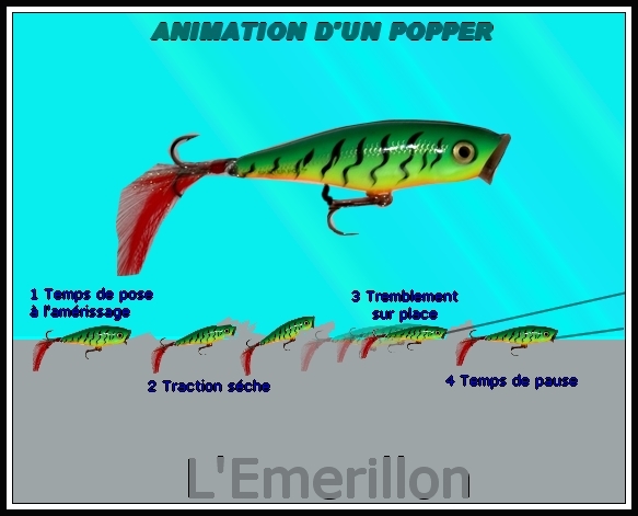 Les poppers 584493animation_popper