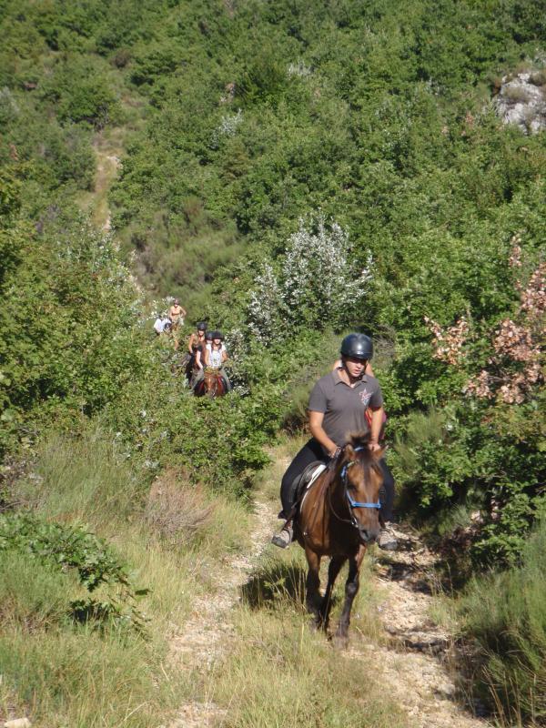 rando 2010 aux ecuries du Val de Durance 585638P8210043