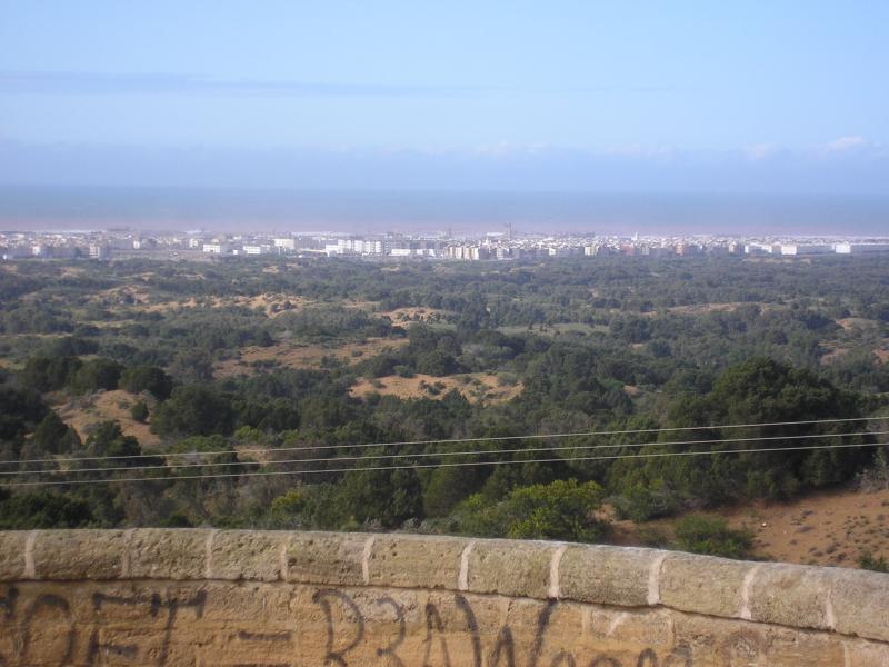 L - La ville d'Essaouira 59420P2163722