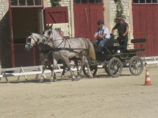 Haras Nationaux de Montier-en-Der (52) 604415Haras_nationaux_006