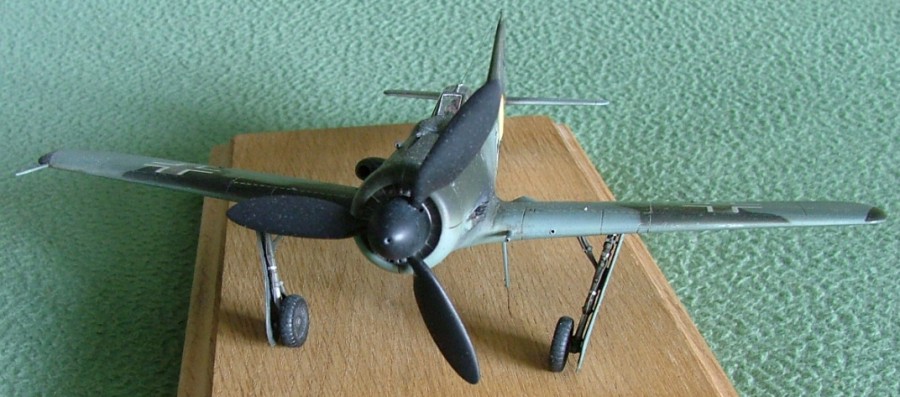 FW 190 Dora (Montage Chrono) Tamiya 1/48 622352DSCF1851