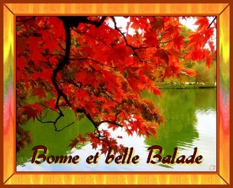 Bonjour automne 641503bonne_balade_automne_ovfoyjy7