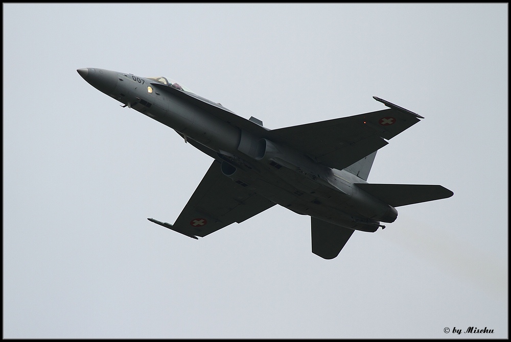 Swiss Hornet Solo Display 15 avril 2010 665716IMG_0503_web