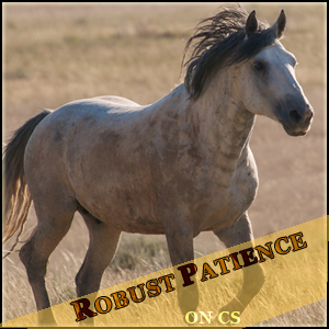 • Robust Patience -Jument- Mustang • 688191robustpatience