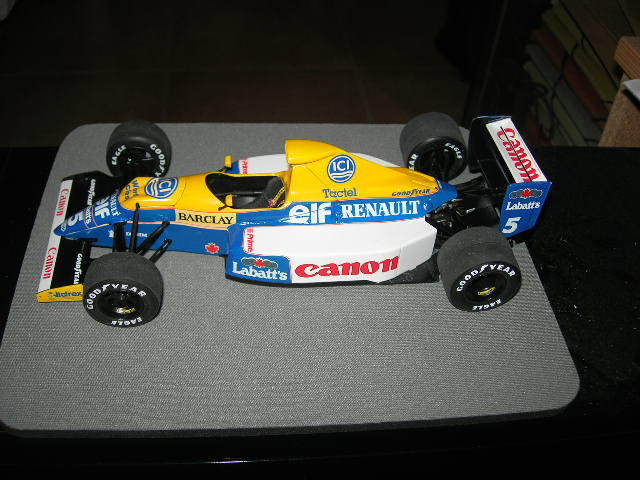 Williams Renault FW13B, 1/20 TAM 692576DSCN7804