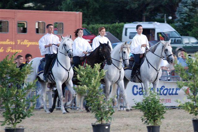 Levens la fête du cheval ... - Page 2 716349DSC_0362__2_