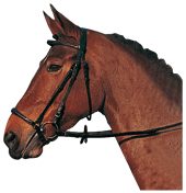 ♪ Equine Saddlery 744802allemand