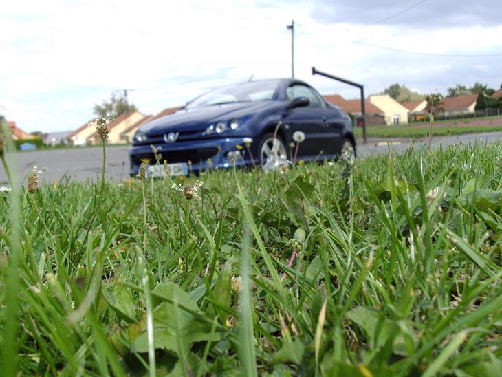 [Peugeot 206 cc] projet 206 GTRCCC - Page 2 748652DSC02700