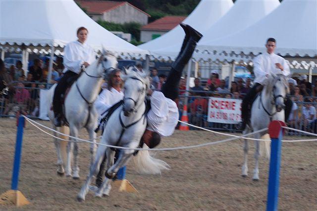 Levens la fête du cheval ... - Page 2 75019DSC_0422__2_