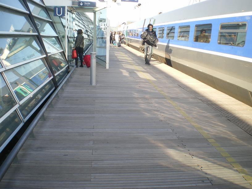 AVIGNON :TGV ,DEMOISELLES ET PONTS PRESENTS MAIS ARLES RESTE MUET CE SOIR 766145IMGP8428
